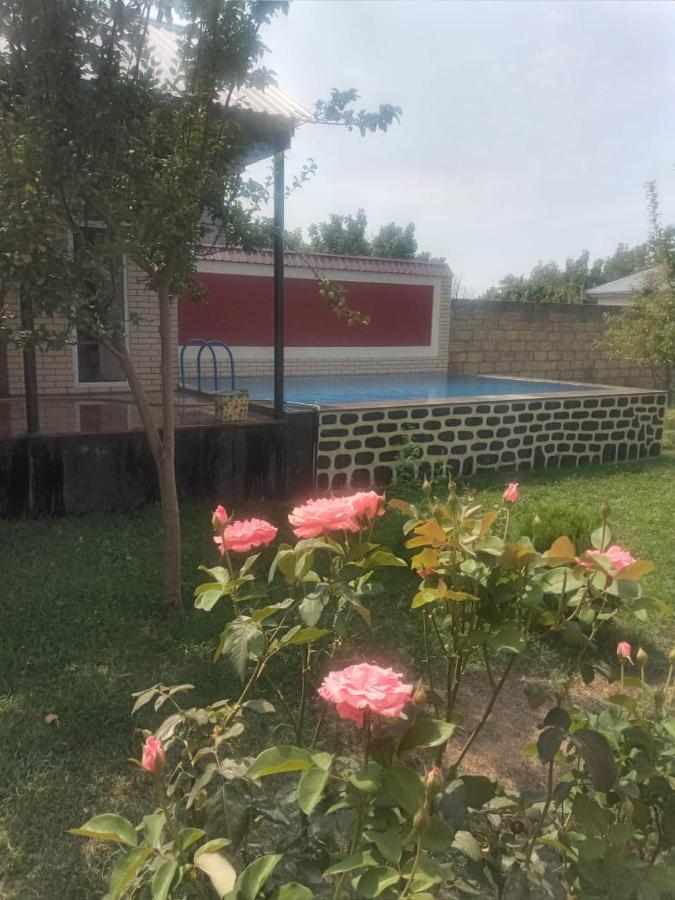 Villa Vilish Gabala Buitenkant foto