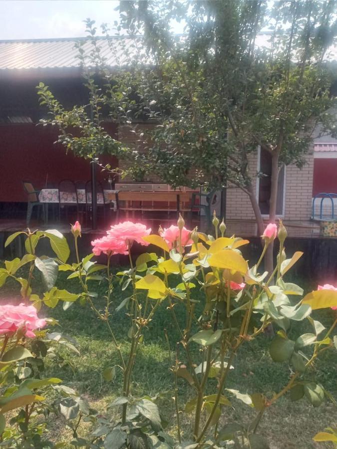 Villa Vilish Gabala Buitenkant foto