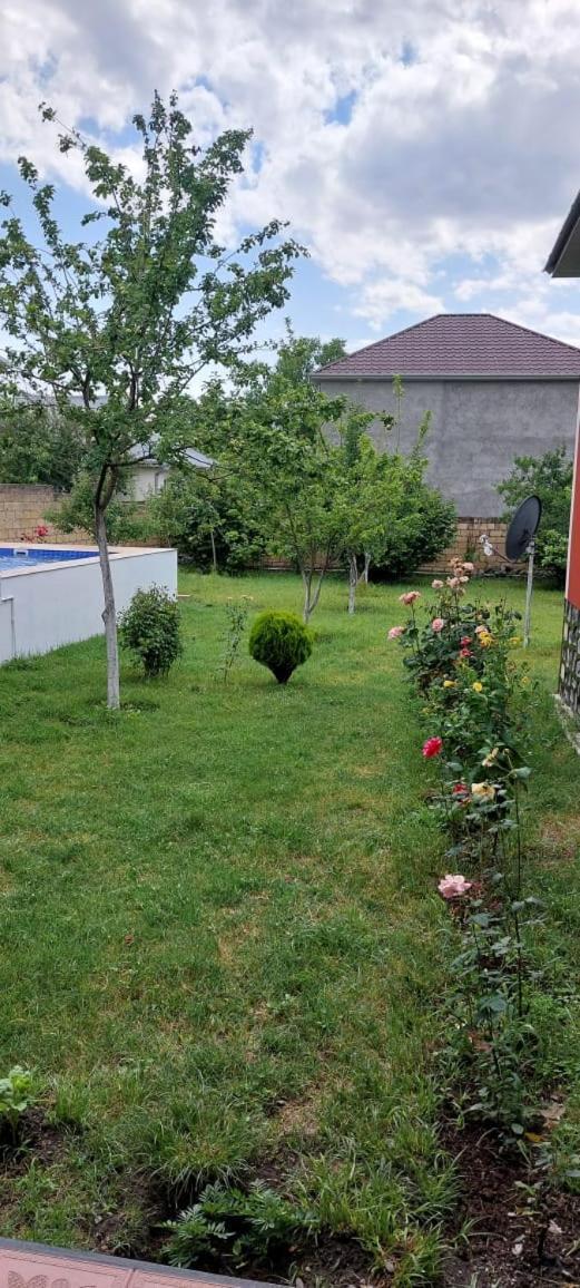 Villa Vilish Gabala Buitenkant foto