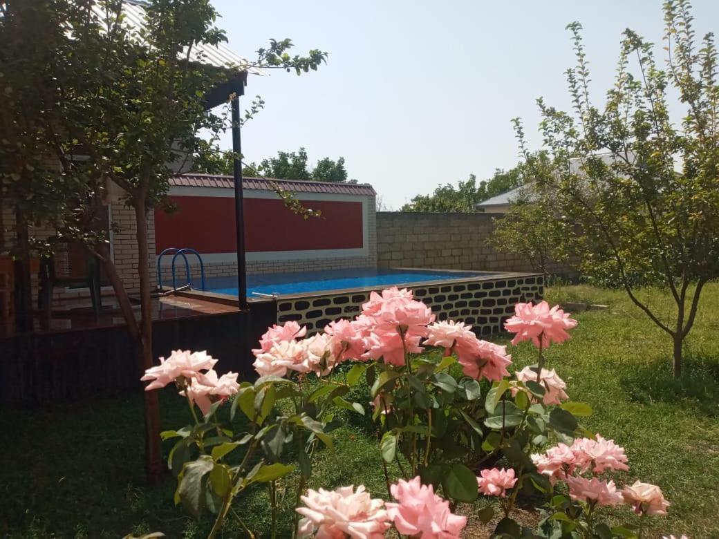 Villa Vilish Gabala Buitenkant foto